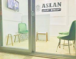 Aslan Luxury Concept Genel