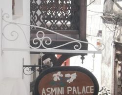 Asmini Palace Hotel Dış Mekan