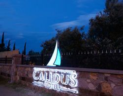 Assos Calidus Hotel Genel