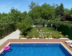 Astonishing Villa With Private Pool and Jacuzzi Surrounded by Nature in Sapanca Oda