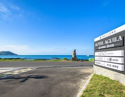 Augila Hotel Jeju Oceano Suites Dış Mekan