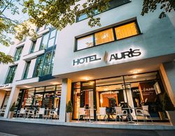 Auris Hotel Öne Çıkan Resim
