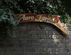 Auro Farms Dış Mekan