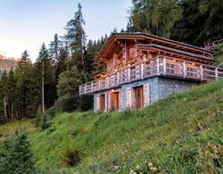 Authentic Swiss Spa Chalet Hot Tub & Sauna Öne Çıkan Resim