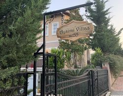 Villa Aysimi Genel