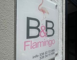 B&B Flamingo Dış Mekan