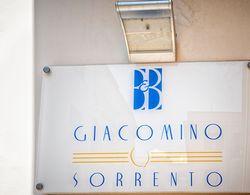 B&B Giacomino Dış Mekan