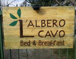 B&B L'Albero Cavo Dış Mekan