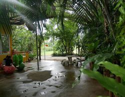 Baan Suan Palm Resort Genel