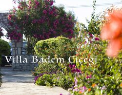 Villa Badem Cicegi Genel