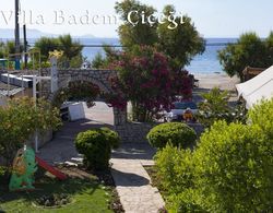 Villa Badem Cicegi Genel