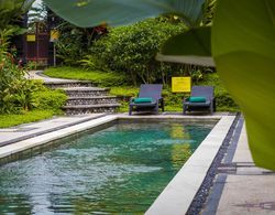 Bakung Ubud Resort and Villa Havuz
