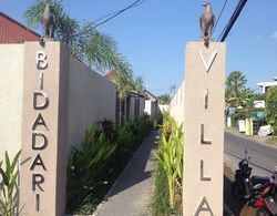 Bali Bidadari Villas Dış Mekan