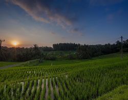 Bali Green Retreat Dış Mekan