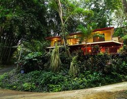 Bali Inspired Casa Cascada w Jungle Views Wi-fi Private Pool ac Oda