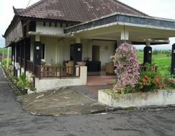 Bali Japan Village Dış Mekan