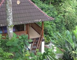 Bali Jungle Huts Dış Mekan