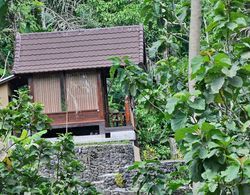 Bali Jungle Huts Dış Mekan