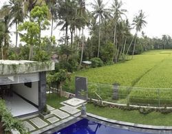 Bali Lane Villa Oda Manzaraları