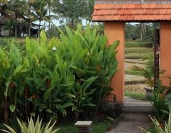Bali Suksma Villa Dış Mekan