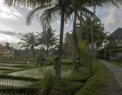 Bali Suksma Villa Dış Mekan