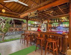 Bali Taman Lovina Resort & Spa Suites Genel