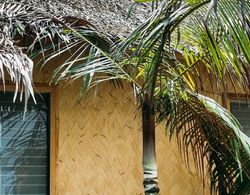 Bamboo Hostel Palawan Dış Mekan