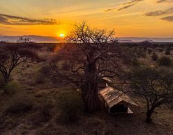 Baobab Tented Camp Dış Mekan