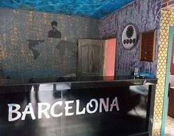 Hotel Barcelona Yusufeli Dış Mekan