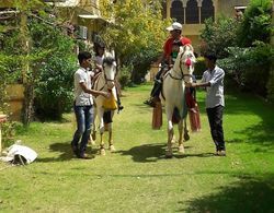 Bassi Fort Palace Genel