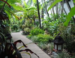 Bay Village Tropical Retreat & Apartments Genel