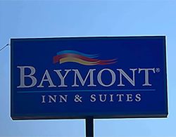 Baymont by Wyndham Odessa Highway 80 Dış Mekan