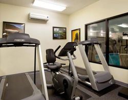 BAYMONT INN & SUITES MERRILLVILLE Aktiviteler