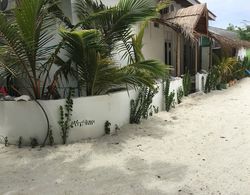 Beach Heaven Maldives - Ocean Vibes Guesthouse Dış Mekan