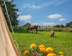 Beautiful 1-bed Star Gazing Bell Tent Loughborough Dış Mekan