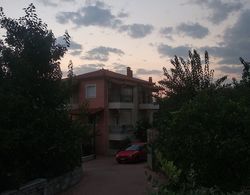 Beautiful & Cosy 5-bedroom Villa - Peloponnese Dış Mekan