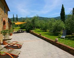 Beautiful Holiday Home in Vinci With Swimming Pool Dış Mekan