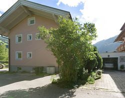 Beautiful Apartment in Aschau im Zillertal Tyrolwith Terrace Dış Mekan