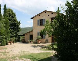 Beautiful private villa with WIFI, private pool, TV, pets allowed and parking, close to Arezzo Öne Çıkan Resim