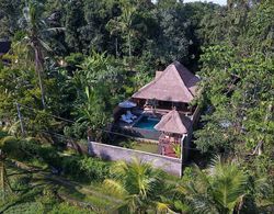 Villa Bedauh Ubud Dış Mekan