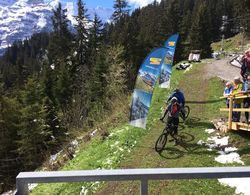 Hotel Bellevue Wengen - Best view in town Genel