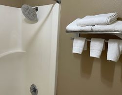 Best Budget Inn Banyo Tipleri