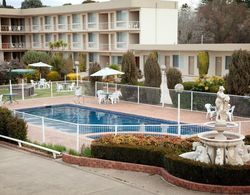 Best Western Central Motel & Apartments Genel