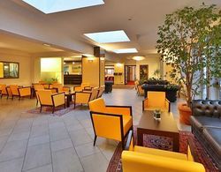 Best Western City Hotel Bologna Genel