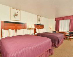 Best Western Executive Inn Genel