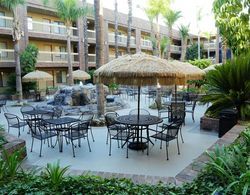 Best Western Meridian Inn & Suites, Anaheim-Orange Genel