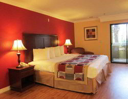 Best Western Moreno Hotel & Suites Genel