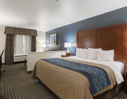 BEST WESTERN Northwest Corpus Christi Inn & Suites Genel