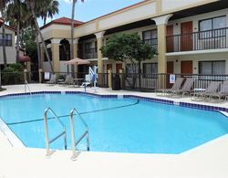 Best Western Orlando East Inn & Suites Havuz
