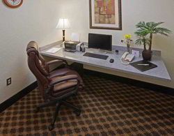 Best Western Palace Inn & Suites Genel